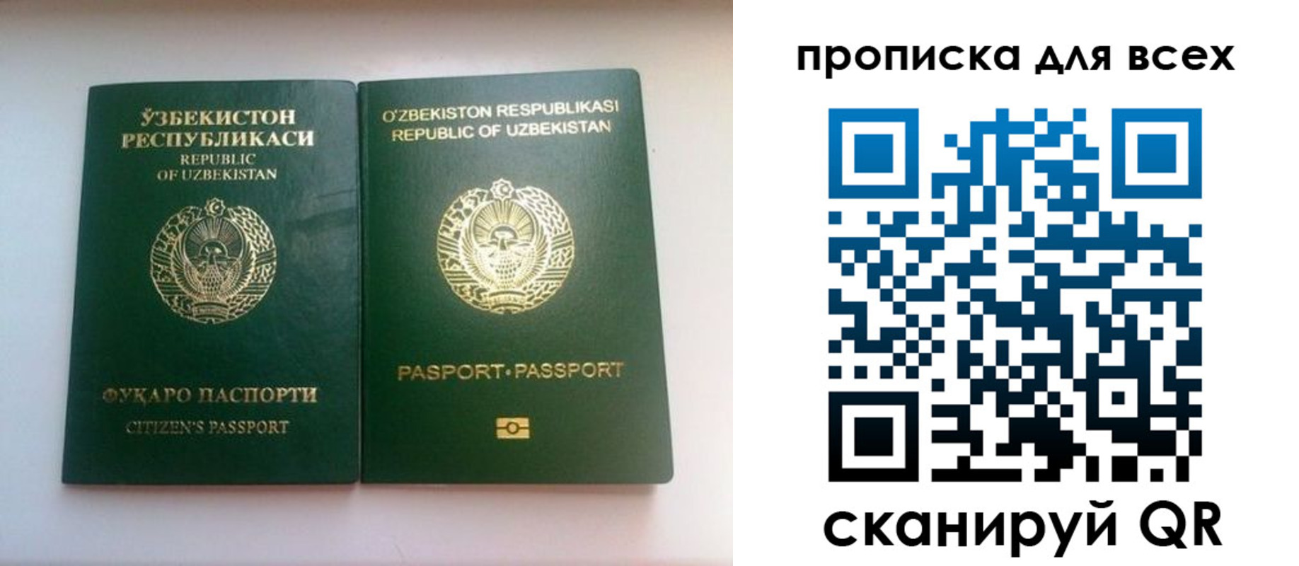 прописка для школы в Катав-Ивановске